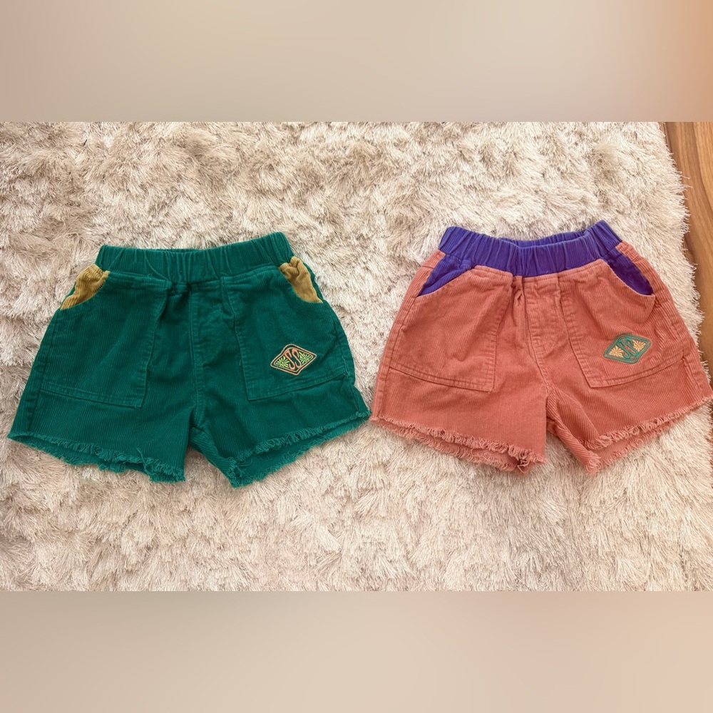 Salty Shreds Vintage Cord Shorts Bundle